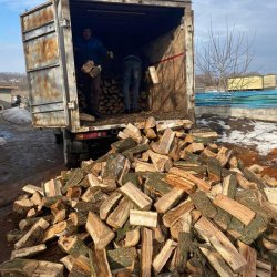 Útulek Friend - Ukrajina