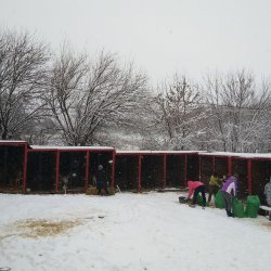 Útulek Friend - Ukrajina