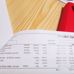 Faktura z veteriny - Lady 