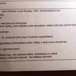 Faktura z veteriny Luna