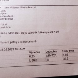Sheilla faktura z veteriny