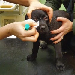 Při prvním ošetření očí a vstupní prohlídce