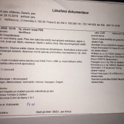 Lékařská zpráva Darwin