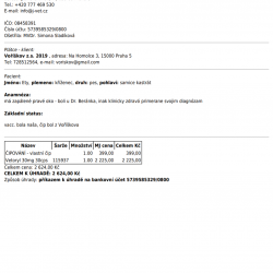 Faktura z veteriny 1