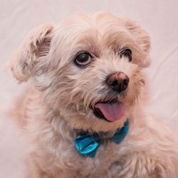 Etynčino focení pro inzerci k adopci