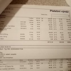 Faktura z veteriny Ruby