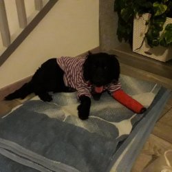 V teple prvního skutečného domova