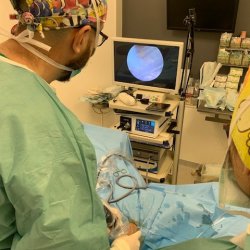 Rozárka u veterináře