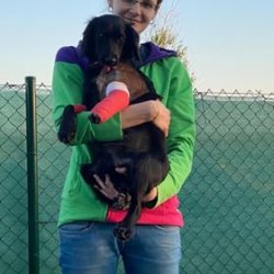 S novou paničkou, veterinární sestřičkou