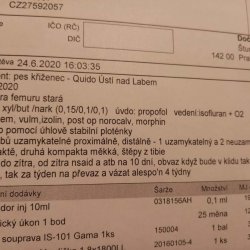 Faktura z veteriny Quido