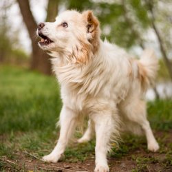 Model Ferda při focení - příprava na adopci