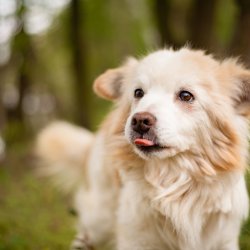 Model Ferda při focení - příprava na adopci