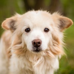 Model Ferda při focení - příprava na adopci