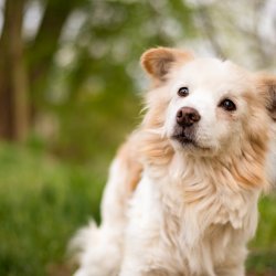 Model Ferda při focení - příprava na adopci