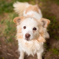 Model Ferda při focení - příprava na adopci