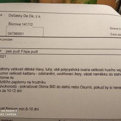 Faktura z veteriny Filipka