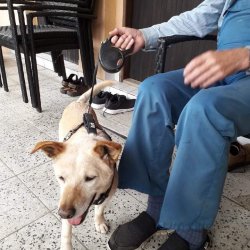 Myšák s novým páníčkem