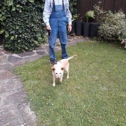 Myšák s novým páníčkem