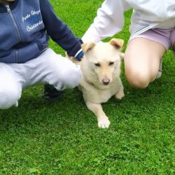 Klea mezi dobrými lidmi