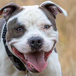 Ronald a jeho umělecká fotka